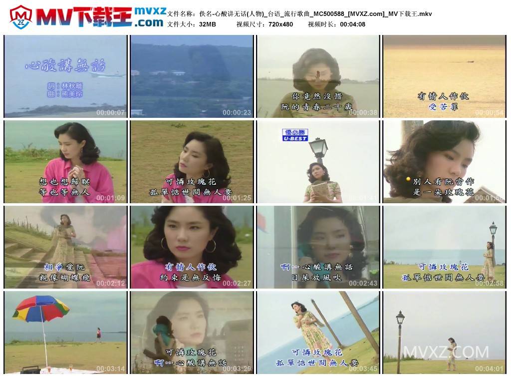 佚名-心酸讲无话(人物)_台语_流行歌曲_MC500588